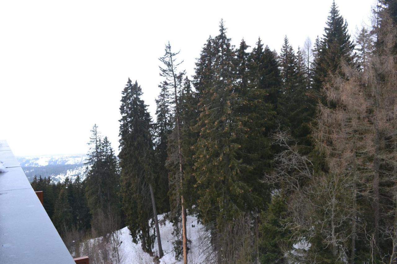 Panorama Apartmany Štrbské Pleso Exteriér fotografie
